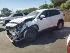 2024 TOYOTA RAV4 LE - 2T3G1RFV9RW486156