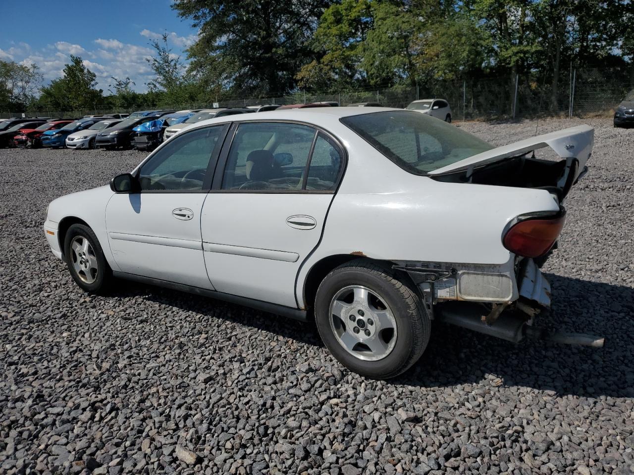 Lot #3227613624 2004 CHEVROLET CLASSIC