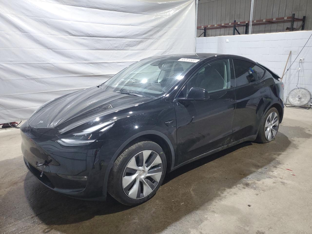Lot #3284033828 2023 TESLA MODEL Y