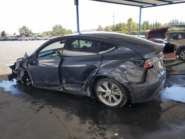 2023 TESLA MODEL Y 7SAYGDEE2PF638467