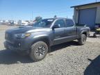 2023 TOYOTA TACOMA DOU - 3TMDZ5BN1PM141857
