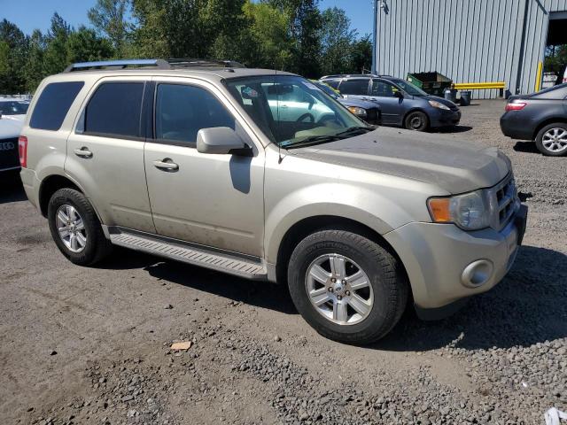 2010 FORD ESCAPE LIM - 1FMCU9E74AKB29937