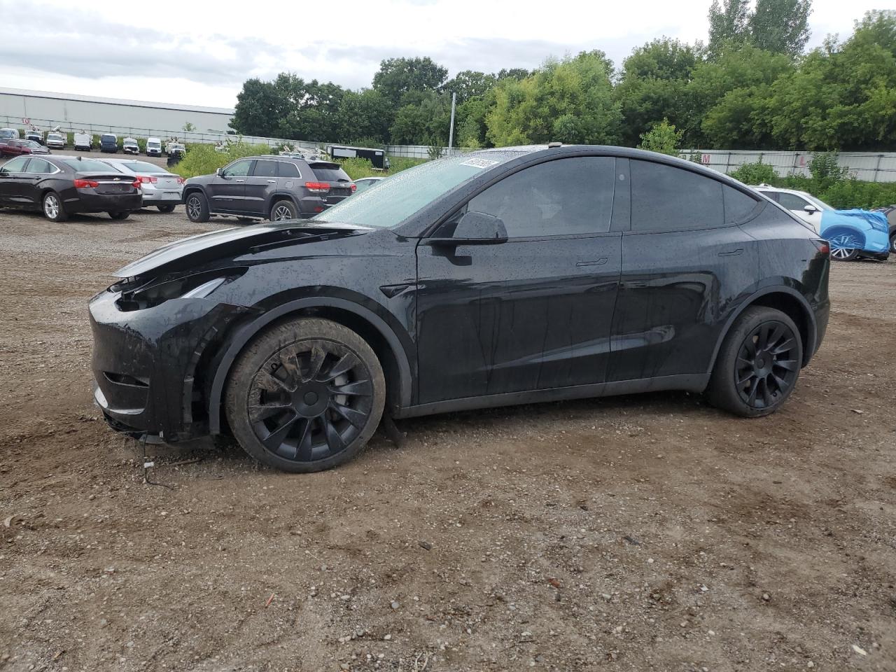 TESLA MODEL Y