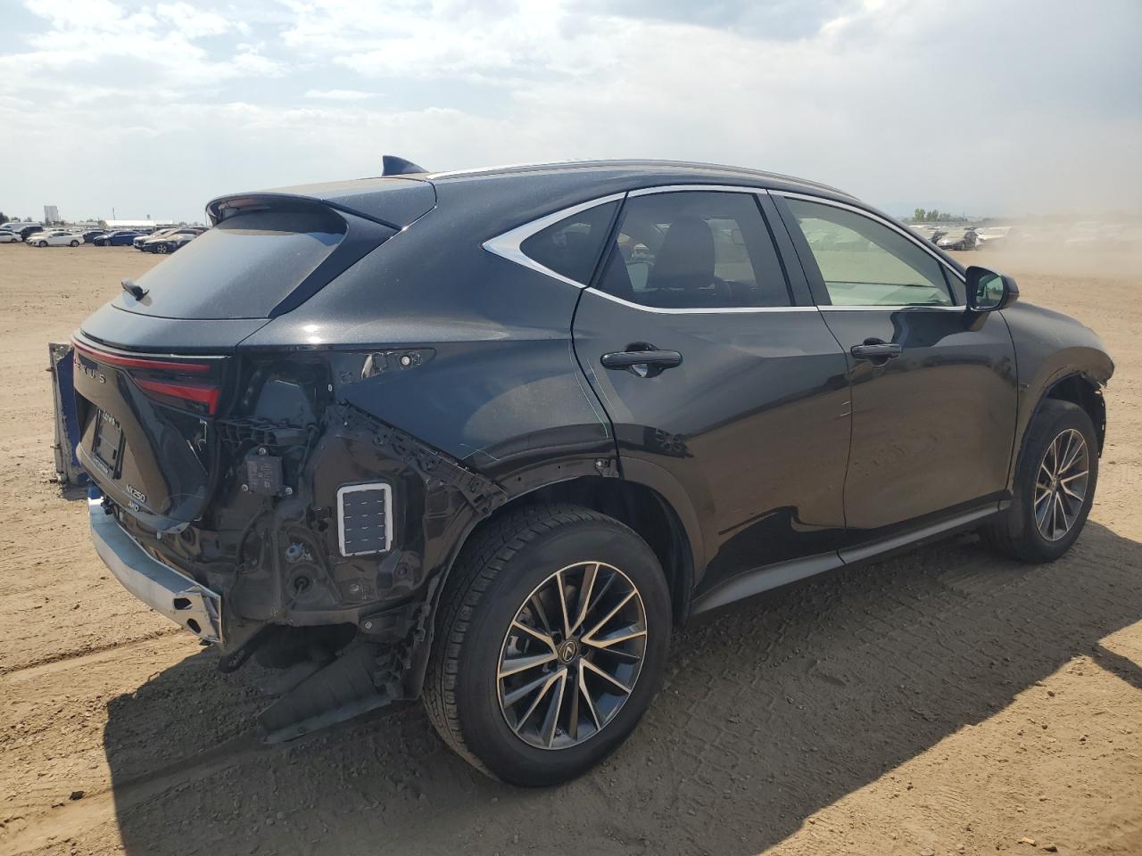 LEXUS NX 250