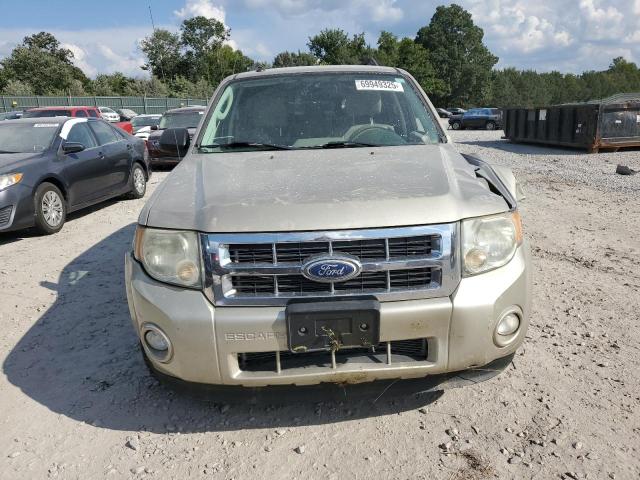 2010 FORD ESCAPE XLT - 1FMCU9DG4AKD22168