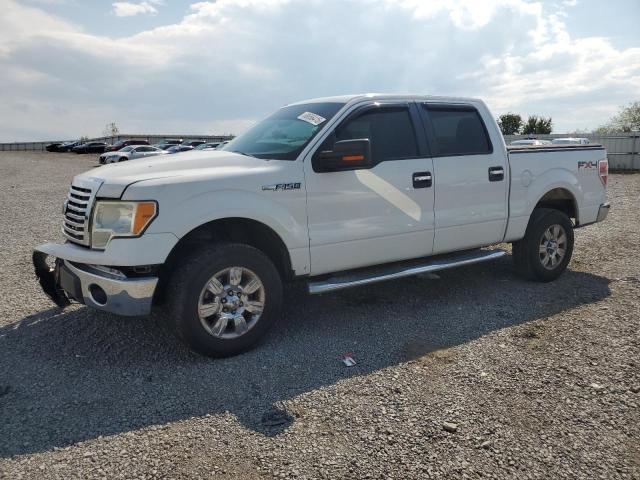 2010 FORD F150 SUPERCREW - 1FTFW1EV0AKE52829