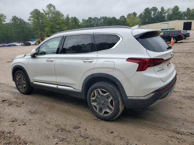 2022 HYUNDAI SANTA FE L - 5NMS4DAL5NH462316