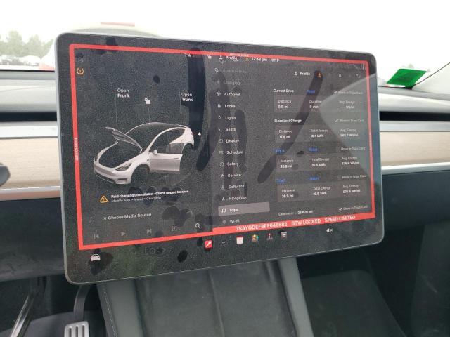 2023 TESLA MODEL Y 7SAYGDEF8PF646582