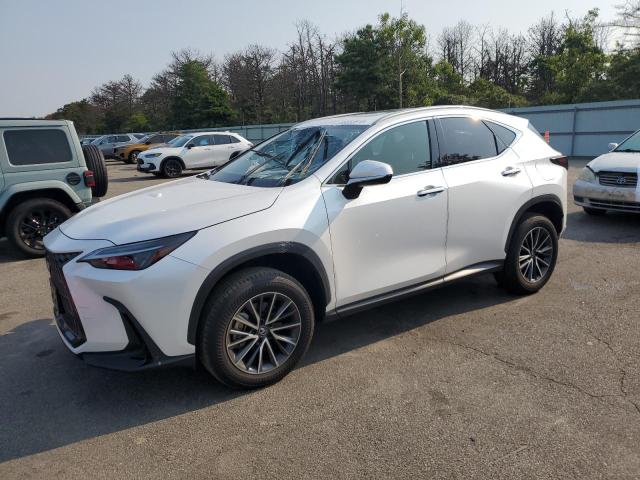 2024 LEXUS NX 250 BAS JTJADCAZ9R5014161