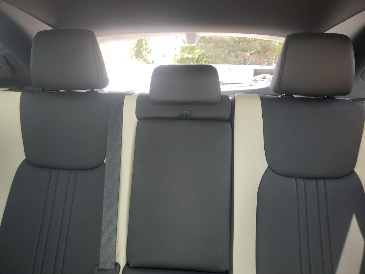 LEXUS NX 350 PREMIUM