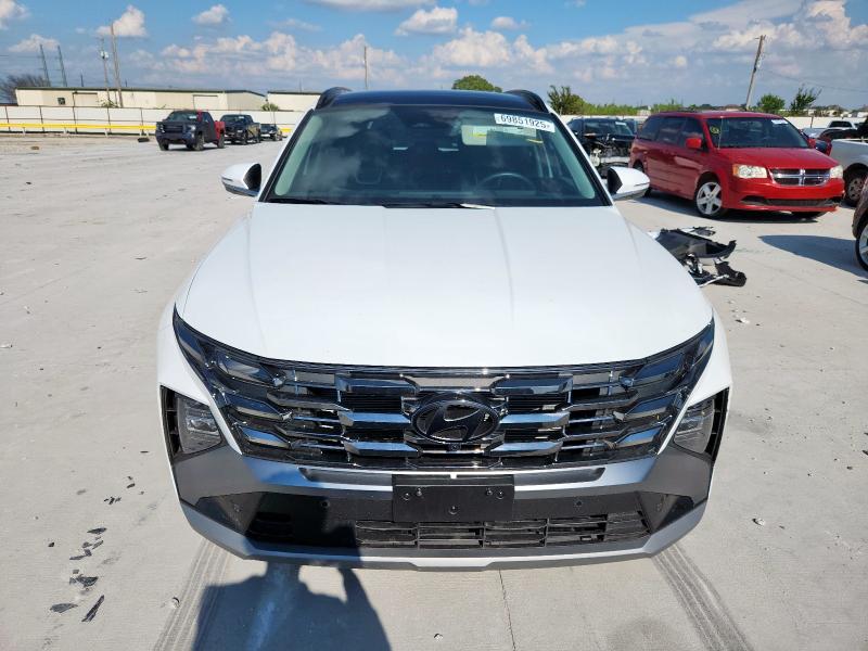 2025 HYUNDAI TUCSON LIM 5NMJE3DE3SH561373