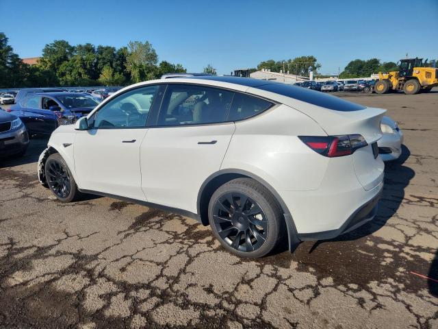 2021 TESLA MODEL Y 5YJYGDEE3MF243156