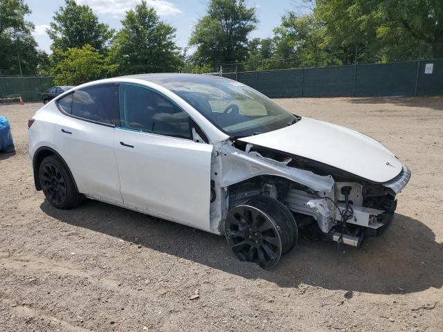 2021 TESLA MODEL Y - 5YJYGDEE9MF204636