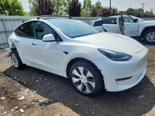 2021 TESLA MODEL Y 5YJYGDEE1MF244760