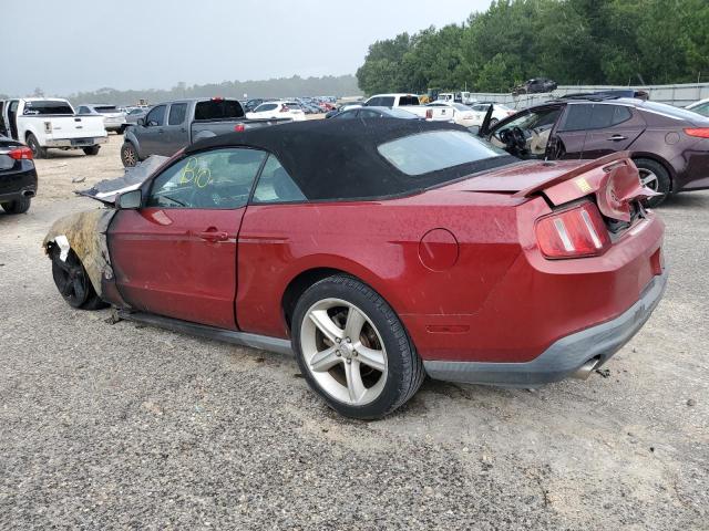 2010 FORD MUSTANG GT - 1ZVBP8FH5A5112200