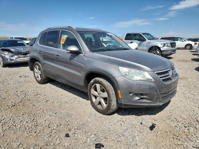 2010 VOLKSWAGEN TIGUAN S - WVGAV7AX8AW533430