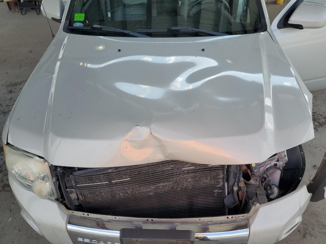 Lot #3218014889 2008 FORD ESCAPE LIM