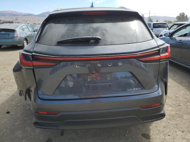 2022 LEXUS NX 250 2T2ADCAZ2NC001117