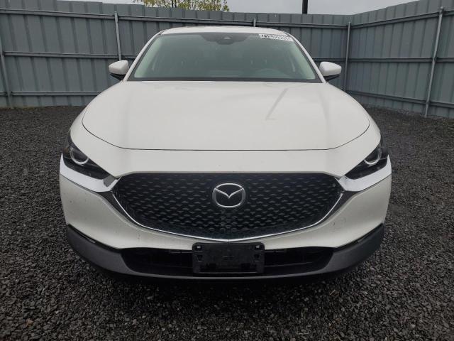 2021 MAZDA CX-30 PREFERRED 3MVDMBCL2MM258285