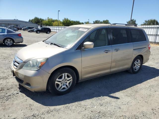 HONDA ODYSSEY EX 2005 gold  gas 5FNRL38705B117023 photo #1