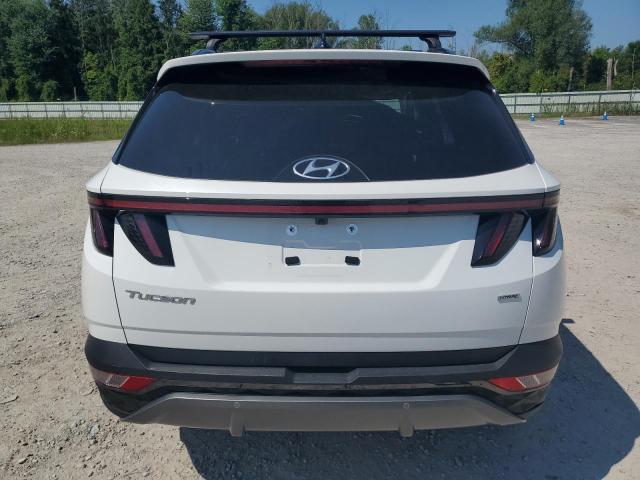 2023 HYUNDAI TUCSON LIM 5NMJECAE7PH292385