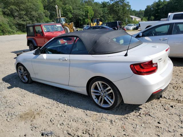 2015 BMW 228 XI WBA1K7C53FV235340