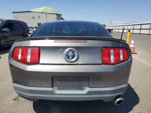 2010 FORD MUSTANG - 1ZVBP8AN2A5176157