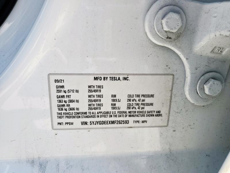 2021 TESLA MODEL Y #3290423785
