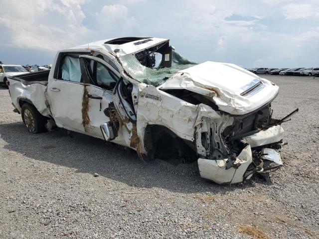 2020 CHEVROLET SILVERADO - 1GC4YREY2LF113561