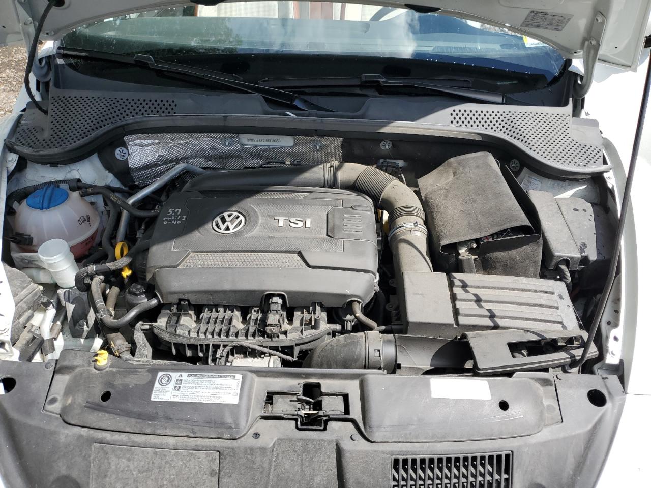 VOLKSWAGEN BEETLE S/SE