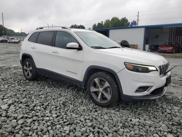 2019 JEEP CHEROKEE L 1C4PJLDB1KD184062