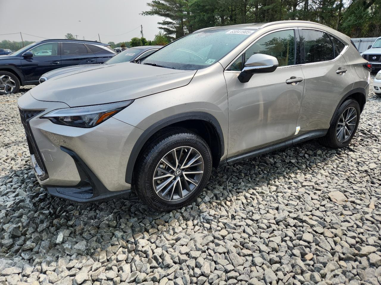 LEXUS NX 350