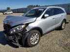 Top Destinations for Shipping Cars from the USA