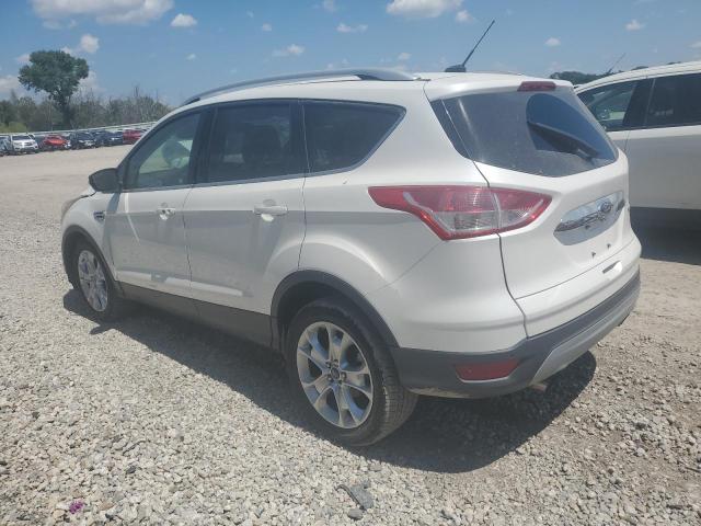 2015 FORD ESCAPE TIT - 1FMCU0J96FUB72397