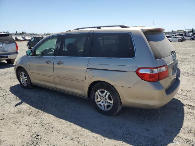HONDA ODYSSEY EX 2005 gold  gas 5FNRL38705B117023 photo #3