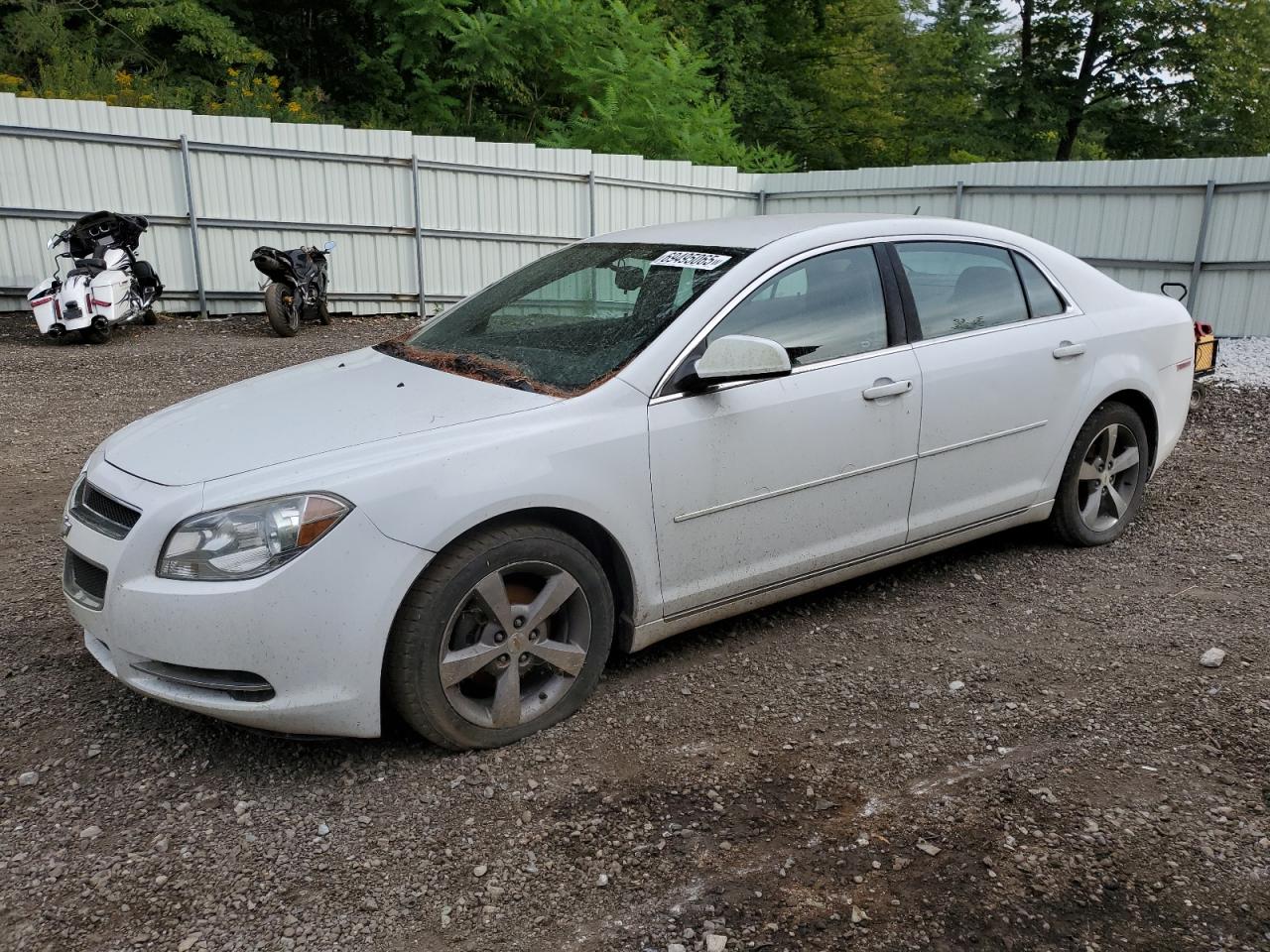 CHEVROLET MALIBU 1LT