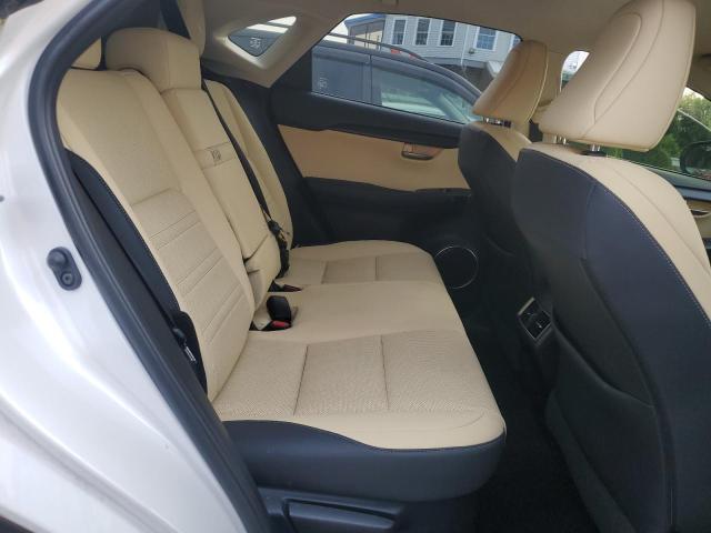 2021 LEXUS NX 300H BA JTJDJRDZ7M5011515