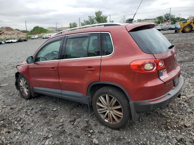 2010 VOLKSWAGEN TIGUAN SE - WVGBV7AX2AW000641
