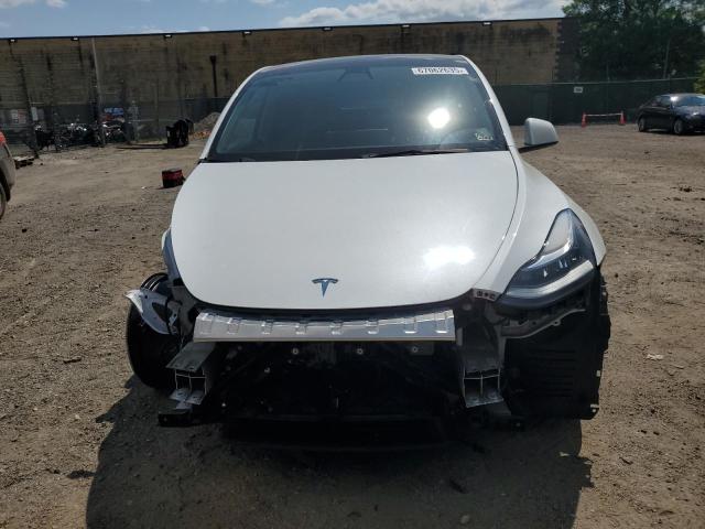 2021 TESLA MODEL Y - 5YJYGDEE9MF204636