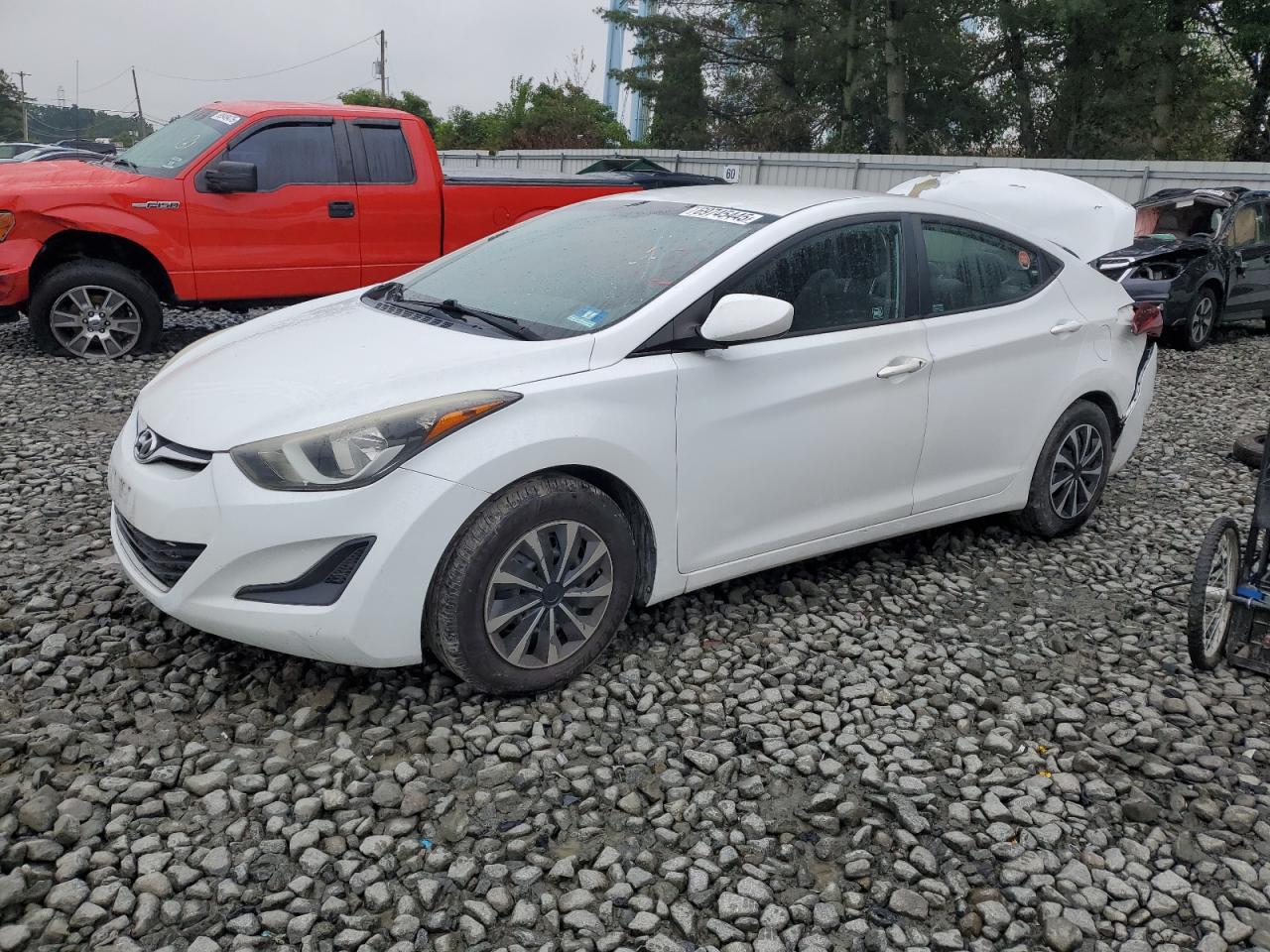 Lot #3318949916 2016 HYUNDAI ELANTRA SE