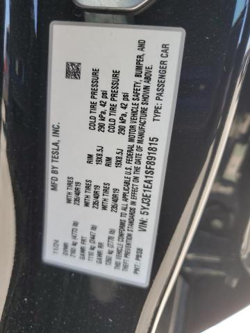 2025 TESLA MODEL 3 5YJ3E1EA1SF891815