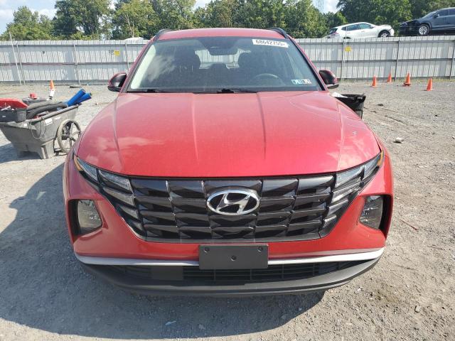 2023 HYUNDAI TUCSON SEL 5NMJB3AE6PH208064