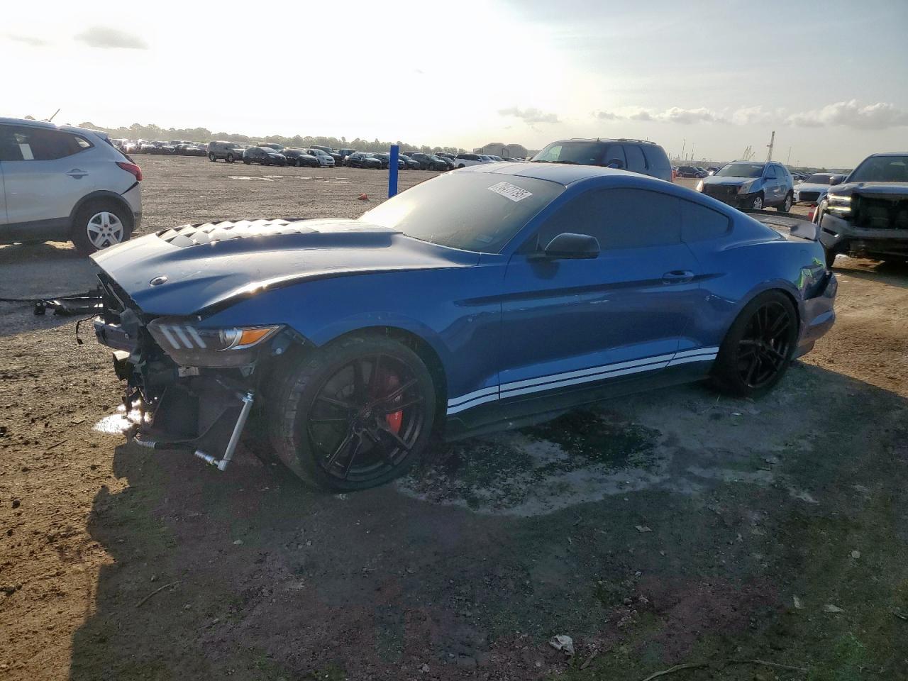 FORD MUSTANG SHELBY GT500