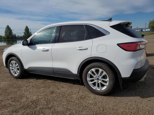 2020 FORD ESCAPE SE 1FMCU9G62LUC44273