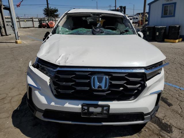 2023 HONDA PILOT EXL 5FNYG2H43PB000183