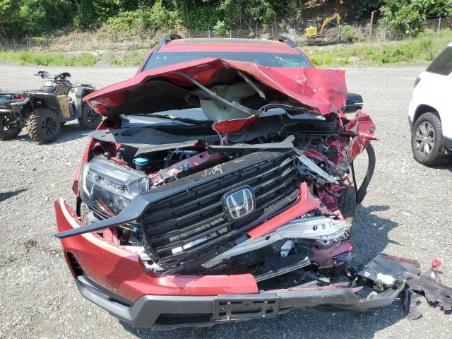 2024 HONDA PASSPORT B 5FNYF8H83RB023152