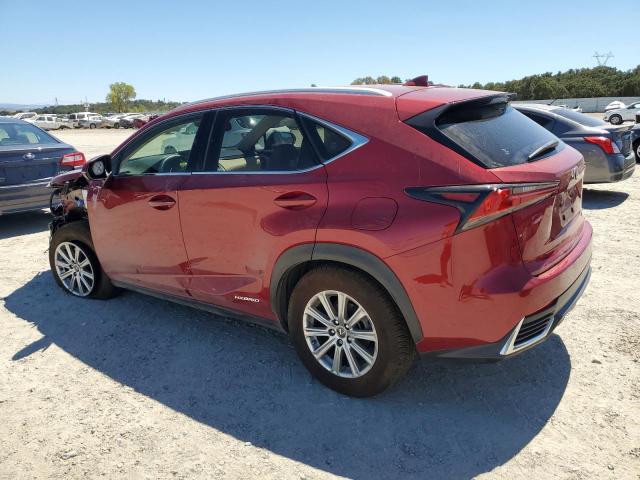 2019 LEXUS NX 300H JTJBJRBZ3K2104282