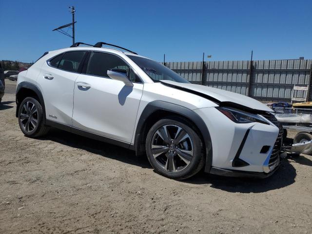 2020 LEXUS UX 250H - JTHP9JBH6L2022783