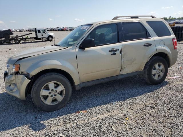 Global Auto Auctions: 2010 FORD ESCAPE XLT