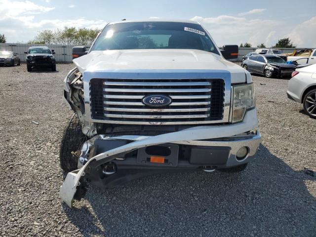 2010 FORD F150 SUPERCREW - 1FTFW1EV0AKE52829